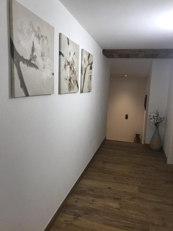 Appartement Fritzl Wagrain Dış mekan fotoğraf